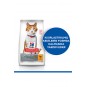 Hill’s Scıence Plan Sterilised Tavuklu Kısırlaştırılmış Kedi Maması 10 Kg Hill’s Scıence Plan Sterilised Tavuklu Kısırlaştırılmış Kedi Maması 10 Kg