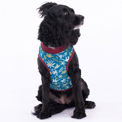 Dino Kedi Köpek Tişörtü - Kedi Köpek Kıyafeti