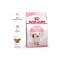 Royal Canin Kitten Kedi Maması 1 Kg (DOYPACK AMBALAJ) Royal Canin Kitten Kedi Maması 1 Kg (DOYPACK AMBALAJ)