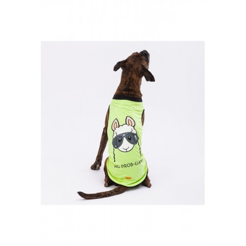 Yeşil No Prob-lama Büyük Köpek Tişörtü - Köpek Kıyafeti (15 KG-45 KG) Yeşil No Prob-lama Büyük Köpek Tişörtü - Köpek Kıyafeti (15 KG-45 KG)