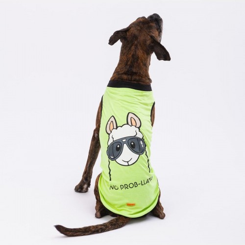 Yeşil No Prob-lama Büyük Köpek Tişörtü - Köpek Kıyafeti (15 KG-45 KG) Yeşil No Prob-lama Büyük Köpek Tişörtü - Köpek Kıyafeti (15 KG-45 KG)