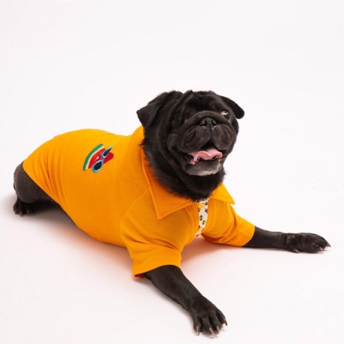 Pineapple Polo Yaka Kedi Köpek T-shirt - Kedi Köpek Kıyafeti