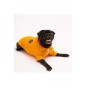 Pineapple Polo Yaka Kedi Köpek T-shirt - Kedi Köpek Kıyafeti Pineapple Polo Yaka Kedi Köpek T-shirt - Kedi Köpek Kıyafeti