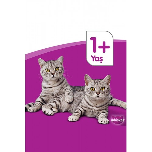 Yetişkin Ton Balıklı Kedi Maması 1.4 Kg Yetişkin Ton Balıklı Kedi Maması 1.4 Kg
