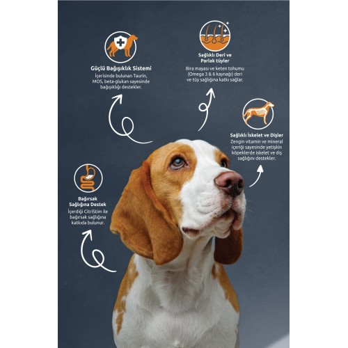 Lamb Rice Adult Dog Foof 10 Kg Lamb Rice Adult Dog Foof 10 Kg