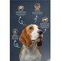 Lamb Rice Adult Dog Foof 10 Kg Lamb Rice Adult Dog Foof 10 Kg