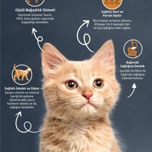 Kıtten Chıcken & Rıce Cat Food 10 Kg