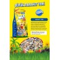 Kuş Max Menu Large Parakeets Büyük Pareket Yemi 1000 Gr. Kb307 Kuş Max Menu Large Parakeets Büyük Pareket Yemi 1000 Gr. Kb307