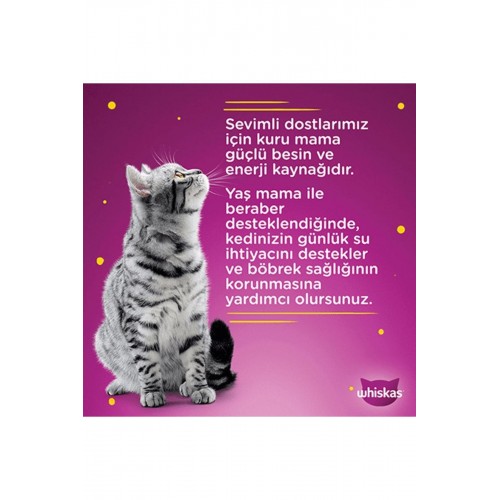 Whıskas Kümes Hayvanlı Yavru Kediler Için Yaş Mama 10 Adet (1X85GR) Whıskas Kümes Hayvanlı Yavru Kediler Için Yaş Mama 10 Adet (1X85GR)