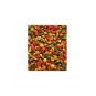 Nutrıbırd P19 Tropıcal 1 Kg Açık Papağan Pelet Yem Nutrıbırd P19 Tropıcal 1 Kg Açık Papağan Pelet Yem