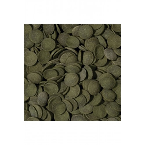 Green Algae Wafers Akvaryum Balık Yemi 250 gr (ORİJİNAL PAKET) Green Algae Wafers Akvaryum Balık Yemi 250 gr (ORİJİNAL PAKET)