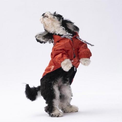 Turuncu Pluvia Kedi Köpek Mont Kedi Köpek Kıyafeti