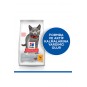 Hill’s Scıence Plan Sterilised Kitten Tavuklu Kısırlaştırılmış Yavru Kedi Maması 1,5 Kg Hill’s Scıence Plan Sterilised Kitten Tavuklu Kısırlaştırılmış Yavru Kedi Maması 1,5 Kg