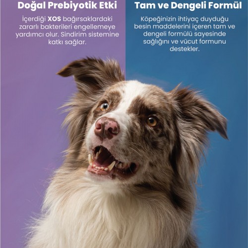 Plus Kuzu Etli Ve Pirinçli Küçük Irk 8 Kg Yetişkin Köpek Maması