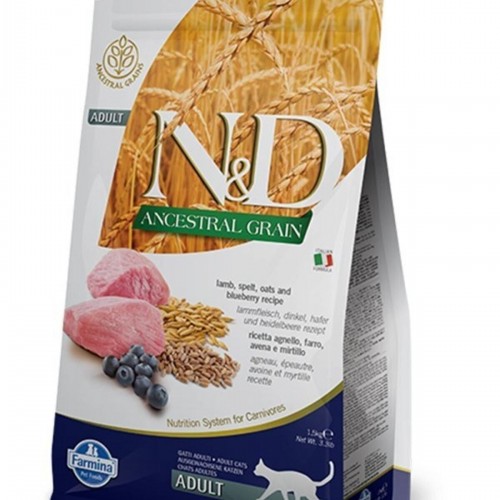 Ancestral Grain Kuzu, Kılçıksız Buğday, Yulaf & Yaban Mersini Yetişkin Kedi Maması, 1,5 Kg Ancestral Grain Kuzu, Kılçıksız Buğday, Yulaf & Yaban Mersini Yetişkin Kedi Maması, 1,5 Kg