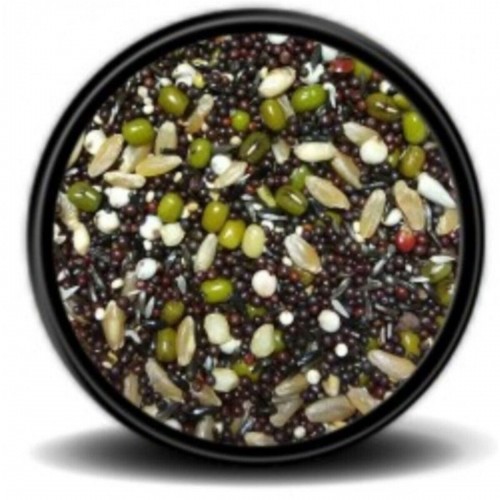 Çimlendirme Tohumu 1kg