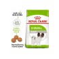 Dog Shn Xsmall Köpek Maması 3 Kg Dog Shn Xsmall Köpek Maması 3 Kg