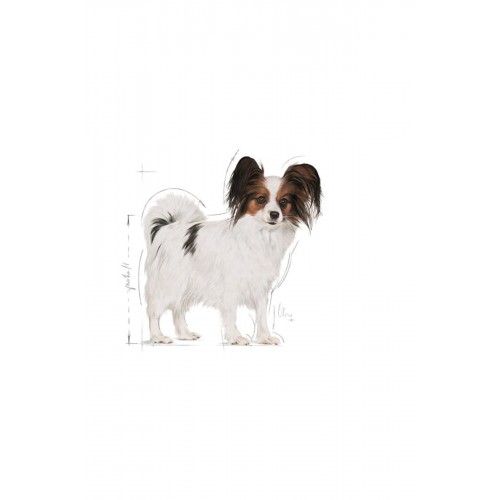 Dog Shn Xsmall Köpek Maması 3 Kg Dog Shn Xsmall Köpek Maması 3 Kg