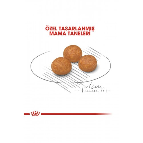 Dog Shn Xsmall Köpek Maması 3 Kg Dog Shn Xsmall Köpek Maması 3 Kg