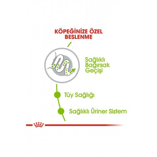 Dog Shn Xsmall Köpek Maması 3 Kg Dog Shn Xsmall Köpek Maması 3 Kg