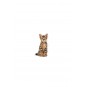 Kitten Sterilised Kısırlaştırılmış Yavru Kedi Maması 2kg Kitten Sterilised Kısırlaştırılmış Yavru Kedi Maması 2kg