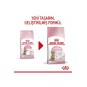 Kitten Sterilised Kısırlaştırılmış Yavru Kedi Maması 2kg Kitten Sterilised Kısırlaştırılmış Yavru Kedi Maması 2kg