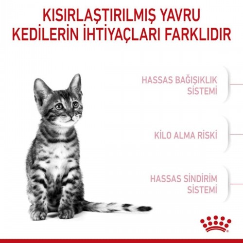 Kitten Sterilised Kısırlaştırılmış Yavru Kedi Maması 2kg
