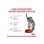 Kitten Sterilised Kısırlaştırılmış Yavru Kedi Maması 2kg Kitten Sterilised Kısırlaştırılmış Yavru Kedi Maması 2kg