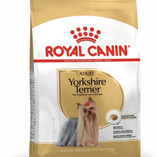 Yorkshire Terrier Adult 1,5 kg