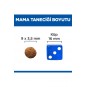 SCIENCE PLAN Ördekli Kısırlaştırılmış Yetişkin Kedi Maması 10 Kg SCIENCE PLAN Ördekli Kısırlaştırılmış Yetişkin Kedi Maması 10 Kg