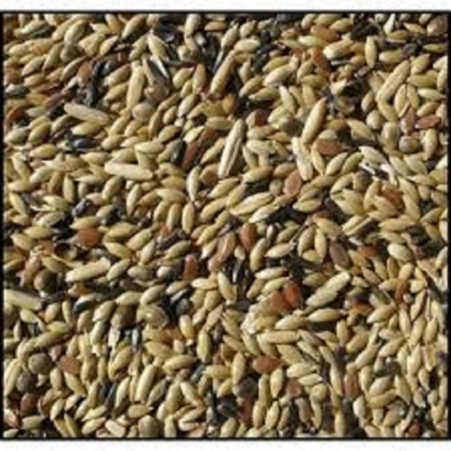 20 Kg Karışık Kanarya Yemi Lüks Karışım Kanarya Kuşu Yemi