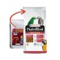Nutrıbırd P19 Tropıcal Pelet Yem 10kg Nutrıbırd P19 Tropıcal Pelet Yem 10kg