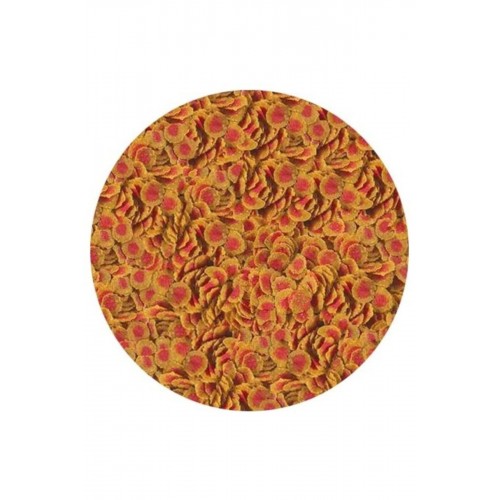 Pro Colour 100 Gr Balık Yemi Pro Colour 100 Gr Balık Yemi