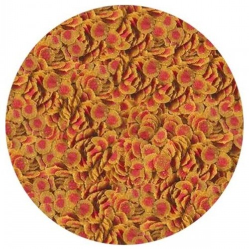 Pro Colour 100 Gr Balık Yemi Pro Colour 100 Gr Balık Yemi