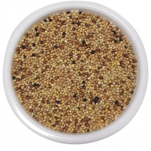 Vivid Karışık Muhabbet Kuşu Yemi 1 Kg Vivid Karışık Muhabbet Kuşu Yemi 1 Kg