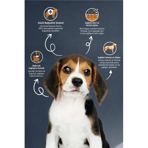 Biftekli Ve Pirinçli Yavru Köpek Maması 3 Kg Biftekli Ve Pirinçli Yavru Köpek Maması 3 Kg