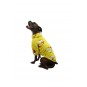 Yellow Smile Büyük Irk Welsoft Sweat Orta Büyük Irk Köpek Kıyafeti Yellow Smile Büyük Irk Welsoft Sweat Orta Büyük Irk Köpek Kıyafeti