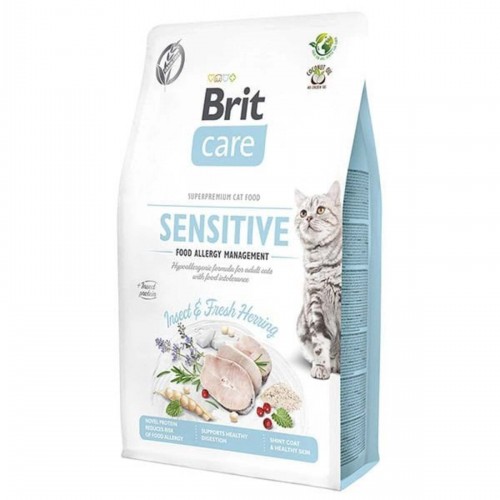 Tahılsız Anti Allergenic Böcekli Kedi Maması 2 Kg Tahılsız Anti Allergenic Böcekli Kedi Maması 2 Kg