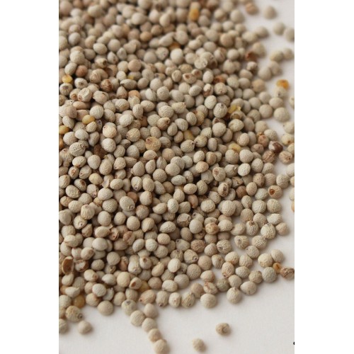 Kuşlarınız Için Doğal Perilla Tohumu - 100 Gram Kuşlarınız Için Doğal Perilla Tohumu - 100 Gram