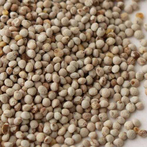 Kuşlarınız Için Doğal Perilla Tohumu - 100 Gram