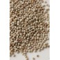 Kuşlarınız Için Doğal Perilla Tohumu - 100 Gram Kuşlarınız Için Doğal Perilla Tohumu - 100 Gram