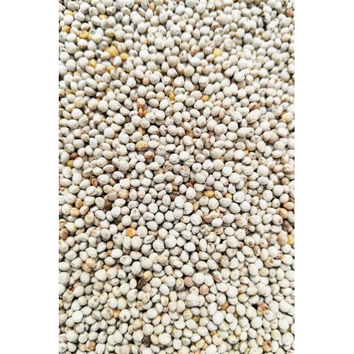 Kuşlarınız Için Doğal Perilla Tohumu - 100 Gram Kuşlarınız Için Doğal Perilla Tohumu - 100 Gram
