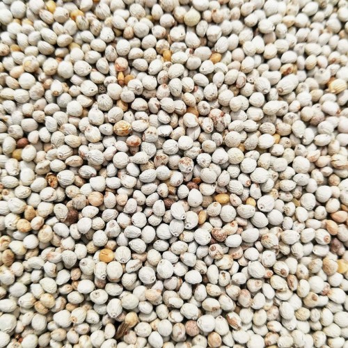 Kuşlarınız Için Doğal Perilla Tohumu - 100 Gram Kuşlarınız Için Doğal Perilla Tohumu - 100 Gram