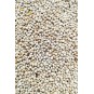Kuşlarınız Için Doğal Perilla Tohumu - 100 Gram Kuşlarınız Için Doğal Perilla Tohumu - 100 Gram