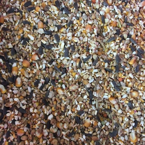 Karışık Yemi 10 Kg