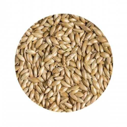 Vivid Aspur (SADE KANARYA YEMİ) 20 Kg.