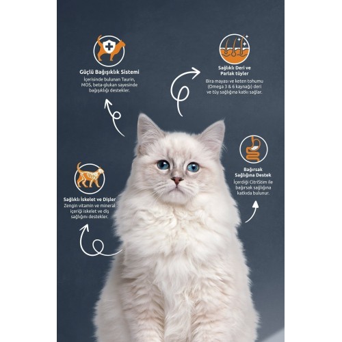 Somonlu Ve Hamsili Yetiskin Kedi Mamasi 15kg Somonlu Ve Hamsili Yetiskin Kedi Mamasi 15kg
