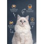 Somonlu Ve Hamsili Yetiskin Kedi Mamasi 15kg Somonlu Ve Hamsili Yetiskin Kedi Mamasi 15kg