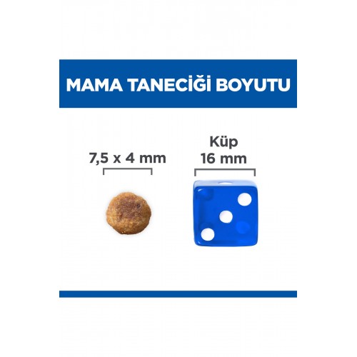 SCIENCE PLAN Kuzulu ve Pirinçli Küçük ve Mini Irk Yetişkin Köpek Maması 6 Kg SCIENCE PLAN Kuzulu ve Pirinçli Küçük ve Mini Irk Yetişkin Köpek Maması 6 Kg