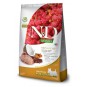 Quinoa Skin&coat Bıldırcın Ve Hindistan Cevizli Adult Mini Köpek Maması 2,5 Kg Quinoa Skin&coat Bıldırcın Ve Hindistan Cevizli Adult Mini Köpek Maması 2,5 Kg